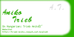 aniko trieb business card